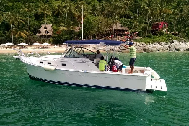 A small yacht anchored near a jungle-fringed beach