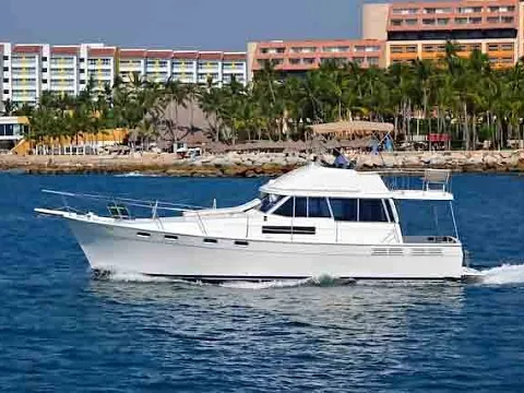 Bayliner 43 — flybridge motor yacht available for private charter