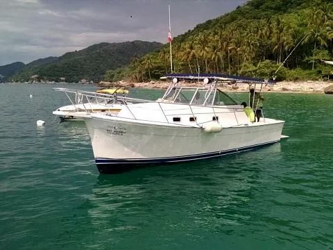 Hipocampo 30 — motor yacht available for private charter